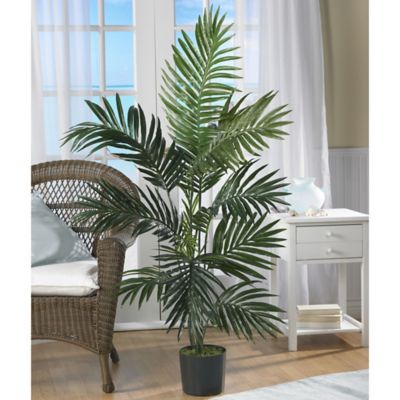Image showing  4 ft. Kentia Palm Silk Tree