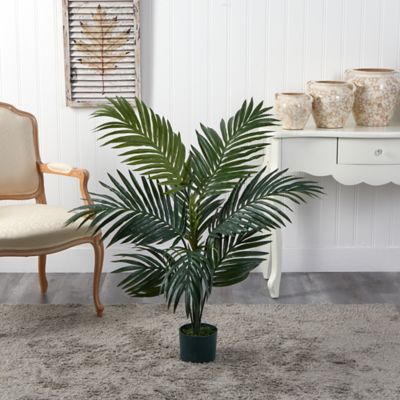 Image showing  4 ft. Kentia Palm Silk Tree