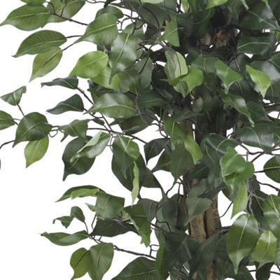 Image showing  3 ft. Silk Ficus Tree