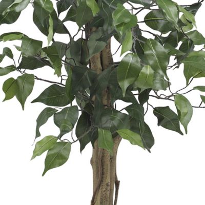 Image showing  3 ft. Silk Ficus Tree