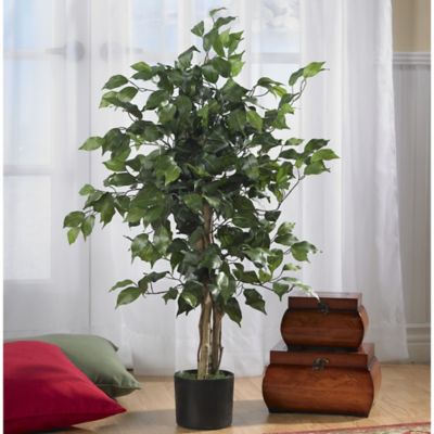 Image showing  3 ft. Silk Ficus Tree