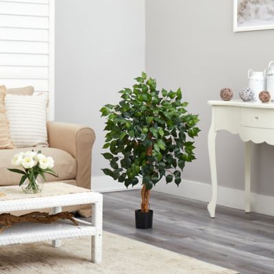 Image showing  3 ft. Silk Ficus Tree