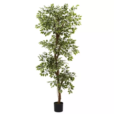 6 foot almost natural variegated ficus Artificial Plants & Flowers