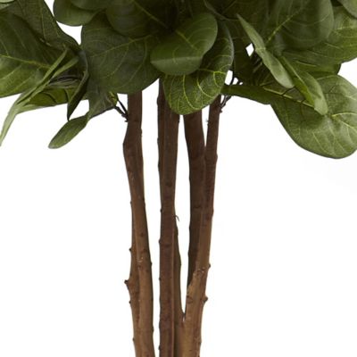 Image showing  6 ft. Fiddle Leaf Fig Tree