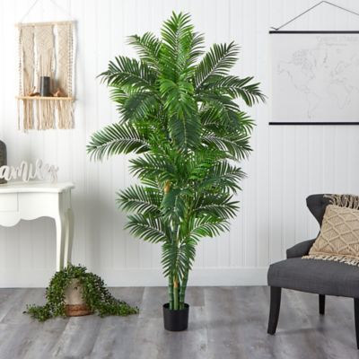 Image showing  6 ft. Curvy Parlor Palm Silk Tree