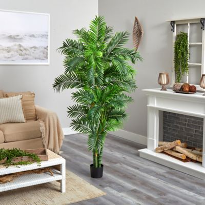 Image showing  6 ft. Curvy Parlor Palm Silk Tree