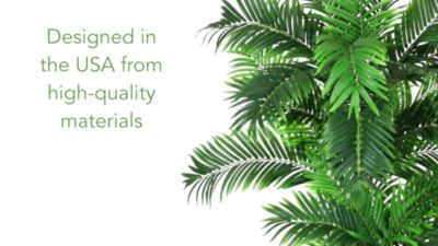 Image showing  6 ft. Curvy Parlor Palm Silk Tree