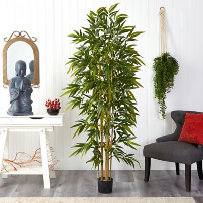 Image showing  6 ft. Bamboo Tree