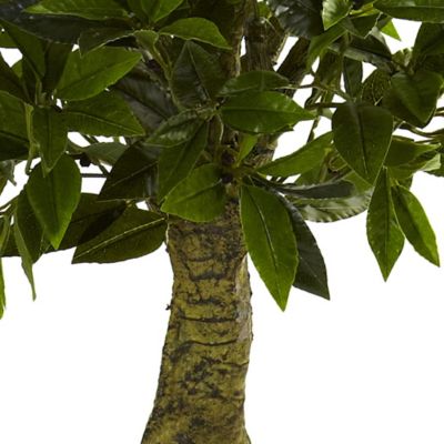 Image showing  5 ft. Triple Bay Leaf Topiary, UV Resistant, Indoor/Outdoor