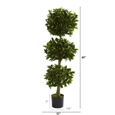 Image showing  5 ft. Triple Bay Leaf Topiary, UV Resistant, Indoor/Outdoor