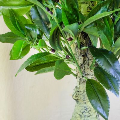 Image showing  5 ft. Triple Bay Leaf Topiary, UV Resistant, Indoor/Outdoor