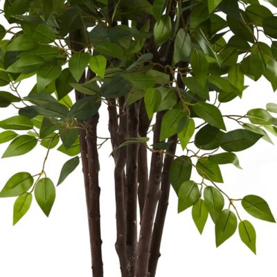 Image showing  7 ft. Deluxe Ficus Tree