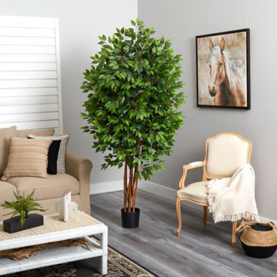 Image showing  7 ft. Deluxe Ficus Tree
