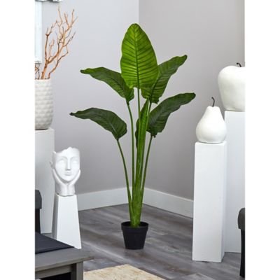 Image showing 6 th Nearly Natural 60 in. Travelers Palm Tree, UV Resistant, Indoor/Outdoor