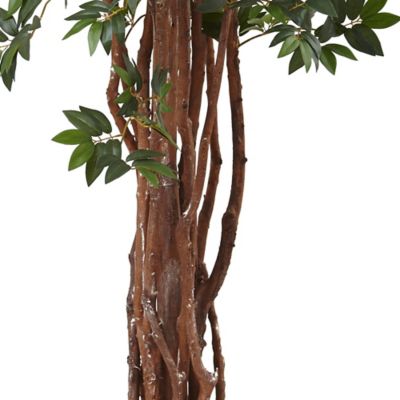 Image showing  8 ft. Lychee Silk Tree