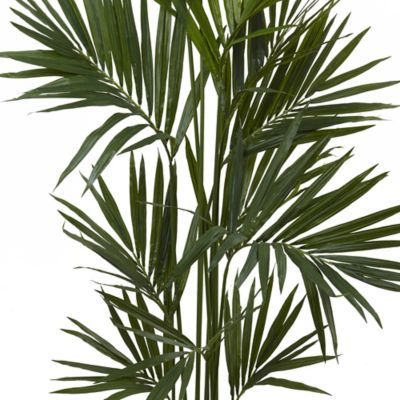 Image showing  7 ft. Kentia Palm Silk Tree