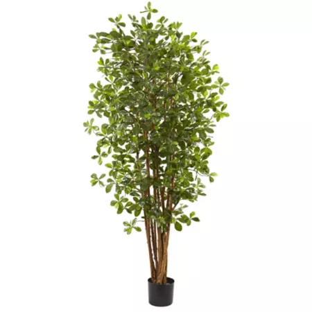 6 Foot Almost Natural Black Olive Silk Tree Artificial Plants & Flowers