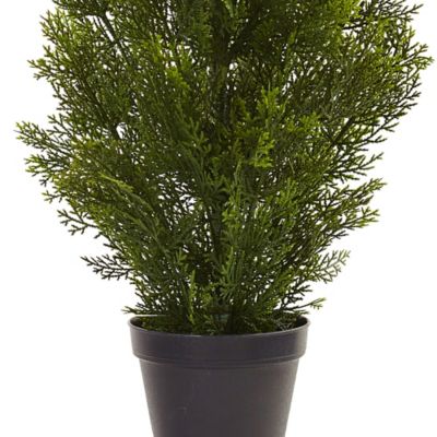 Image showing  3 ft. Artificial Indoor/Outdoor Mini Cedar Pine Tree