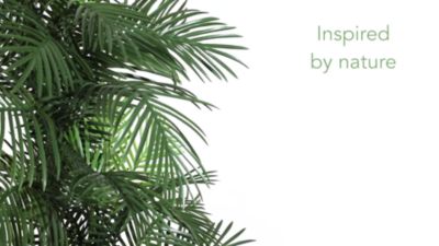 Image showing  7 ft. Artificial Indoor/Outdoor UV-Resistant Double Robellini Palm Tree