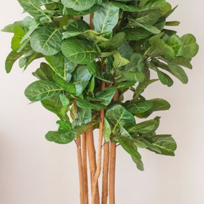Image showing  7 ft. Fiddle Leaf Fig Artificial Tree