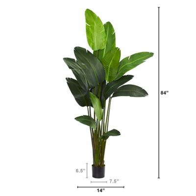 Image showing 3 th Nearly Natural 7 ft. Travelers Palm Artificial Tree