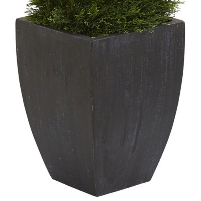 Image showing  5 ft. Double Pond Cypress Spiral Topiary Artificial Tree, Black Wash Planter, UV Resistant, Indoor/Outdoor