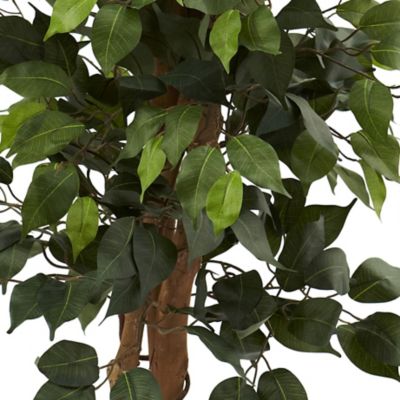 Image showing  44 in. Ficus Tree with Decorative Planter