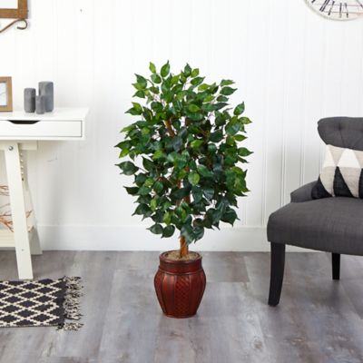 Image showing  44 in. Ficus Tree with Decorative Planter