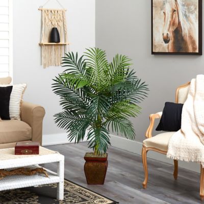 Image showing  5 ft. Golden Cane Palm with Decorative Container