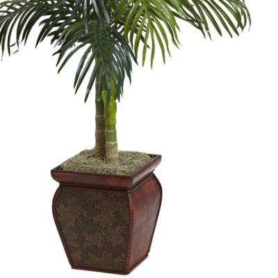 Image showing  5 ft. Golden Cane Palm with Decorative Container