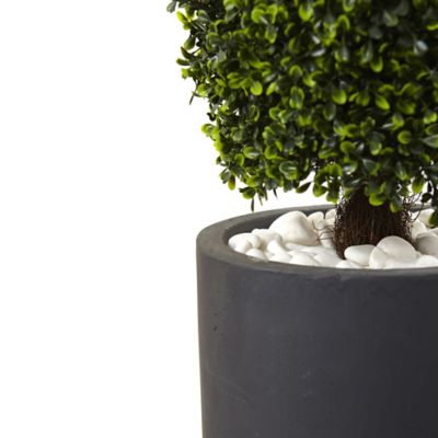 Image showing  50 in. Boxwood Topiary, Includes Gray Cylindrical Planter, UV Resistant, Indoor/Outdoor