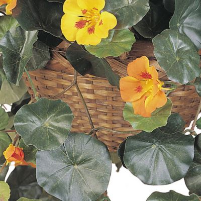 Image showing  22 in. Silk Nasturtium Hanging Basket
