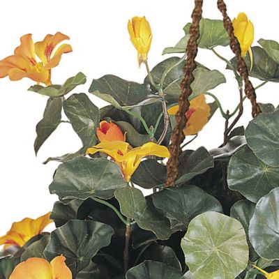 Image showing  22 in. Silk Nasturtium Hanging Basket