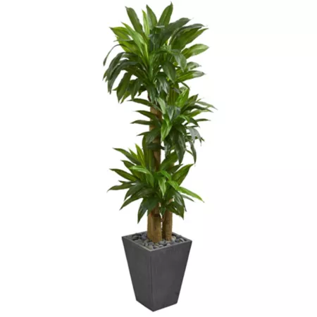 6 ft Artificial Nearly Natural Corn Stalk Dracaena Plant in Slate Pot Artificial Plants & Flowers