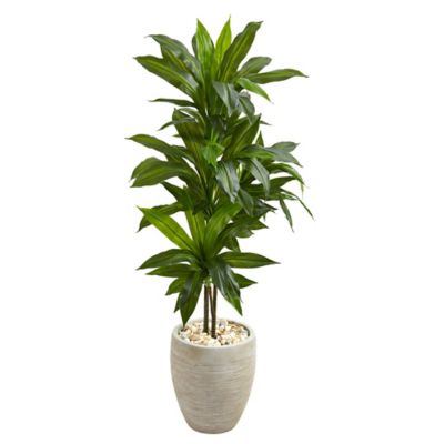 Nearly Natural 4 ft. Dracaena Artificial Plant in Sand Colored Planter