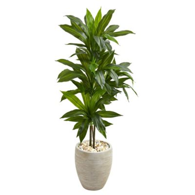 Nearly Natural 4 ft. Artificial Dracaena Plant in Sand Colored Planter