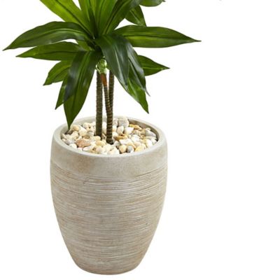 Image showing  4 ft. Artificial Dracaena Plant in Sand Colored Planter