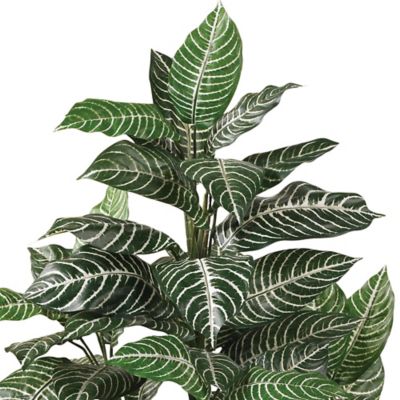Image showing  3 ft. Silk Zebra Plant