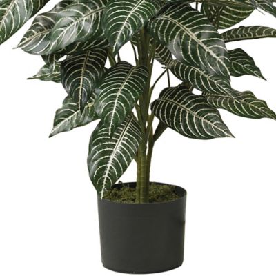 Image showing  3 ft. Silk Zebra Plant