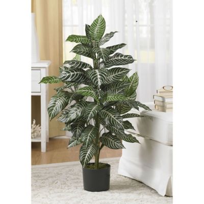 Image showing  3 ft. Silk Zebra Plant