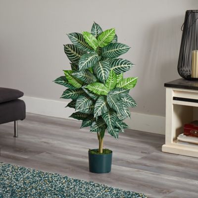 Image showing  3 ft. Silk Zebra Plant