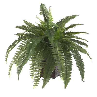 Image showing  23 in. Silk Boston Fern Plant in Wicker Basket