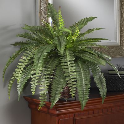Image showing  23 in. Silk Boston Fern Plant in Wicker Basket