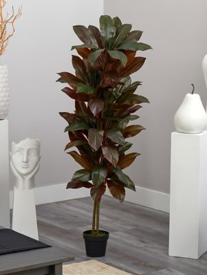 Image showing  5 ft. Cordyline Silk Plant