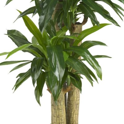 Image showing  57 in. Corn Stalk Dracaena Silk Plant