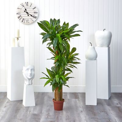 Image showing  57 in. Corn Stalk Dracaena Silk Plant
