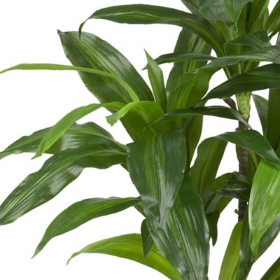 Image showing  43 in. Dracaena Silk Plant