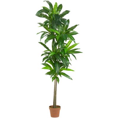 Nearly Natural 6 ft. Dracaena Silk Plant