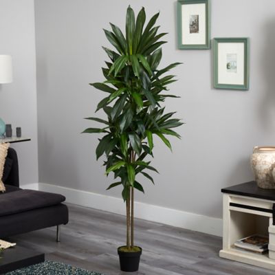 Image showing  6 ft. Dracaena Silk Plant