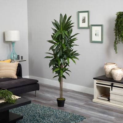 Image showing  6 ft. Dracaena Silk Plant